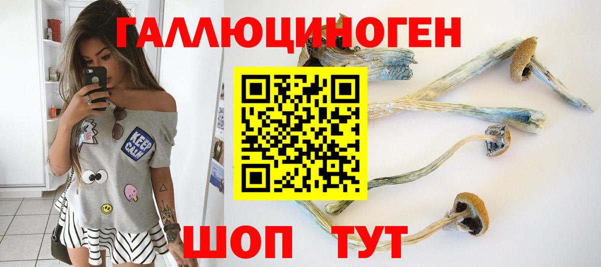 Арзамас  Псилоцибиновые грибы Cubensis  Вход с VPN 